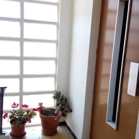 Apartamento Piso Acogedor Y Alegre En Castellón Castellón de la Plana