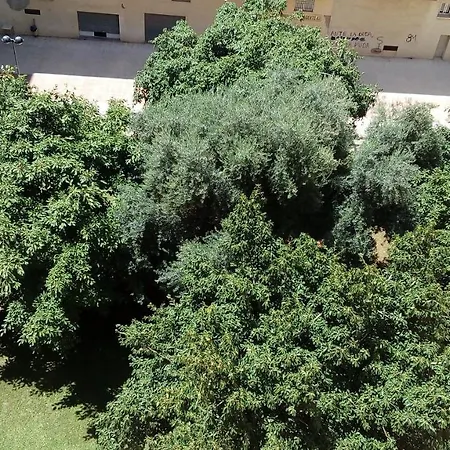 Piso Acogedor Y Alegre En Castellón Apartamento Castellón de la Plana